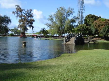 High Tides in Hilo Park hiloliving.com